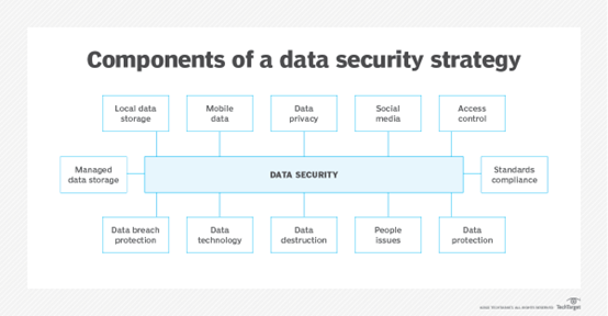 探索FDroid（一站式开源应用商店平台的关键性作用）